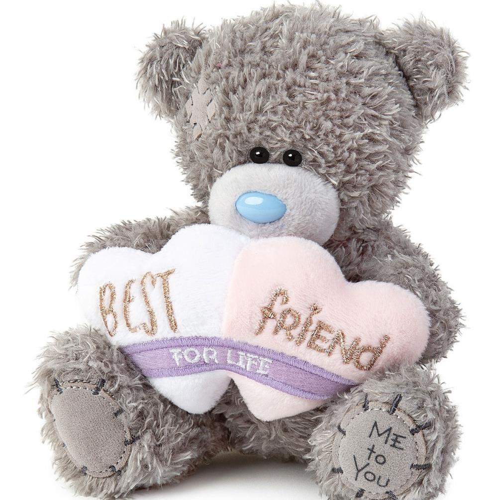 5" Best Friends For Life Me to You Bear Extra Image 2